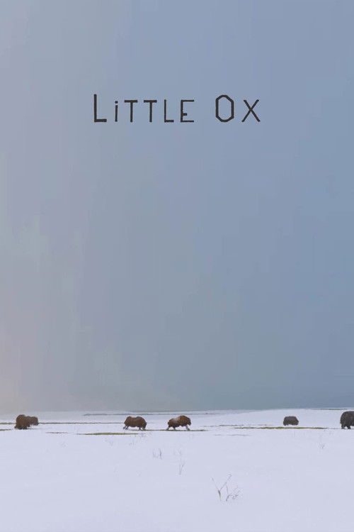 Little Ox (2021) poster