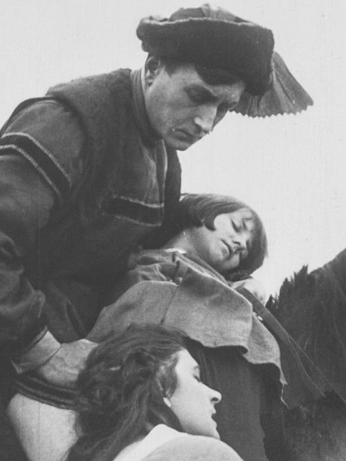 Der Ochsenkrieg (1920) poster