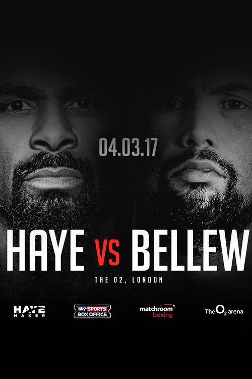 David Haye vs. Tony Bellew (2017) poster