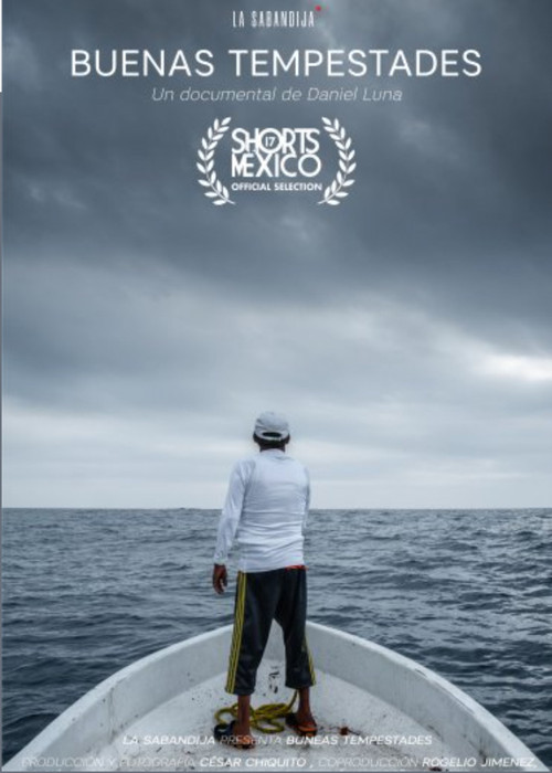 Good Storms (2022) poster