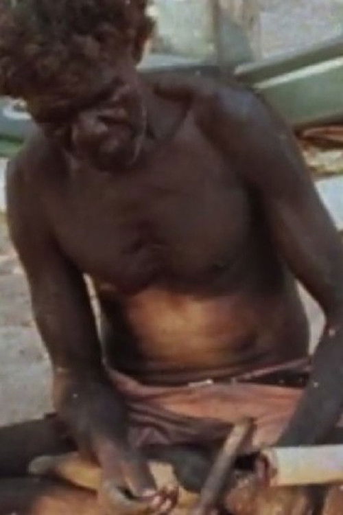 Narritjin at Djarrakpi (1981) poster