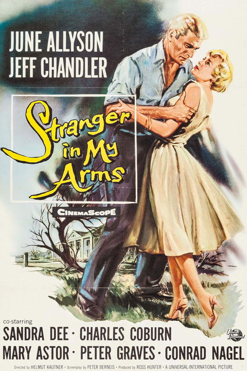 A Stranger in My Arms (1959) poster
