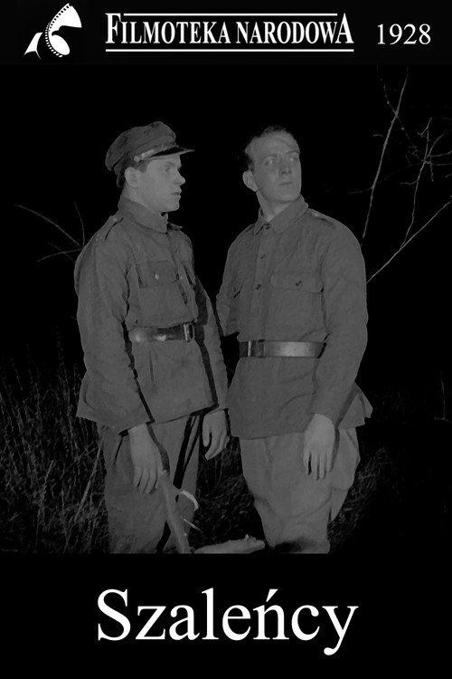 Daredevils (1928) poster