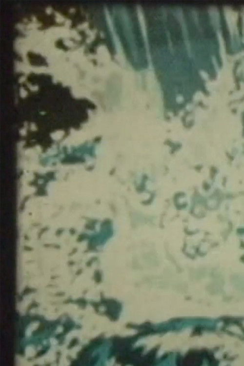 Dreaming of the dream of the dream (2004) poster