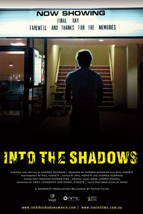 Into the Shadows (2009) poster