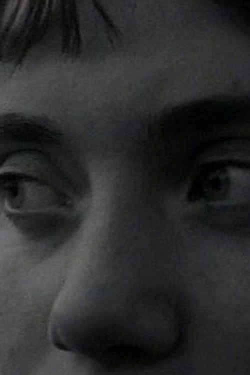 Last Goodbye (2006) poster