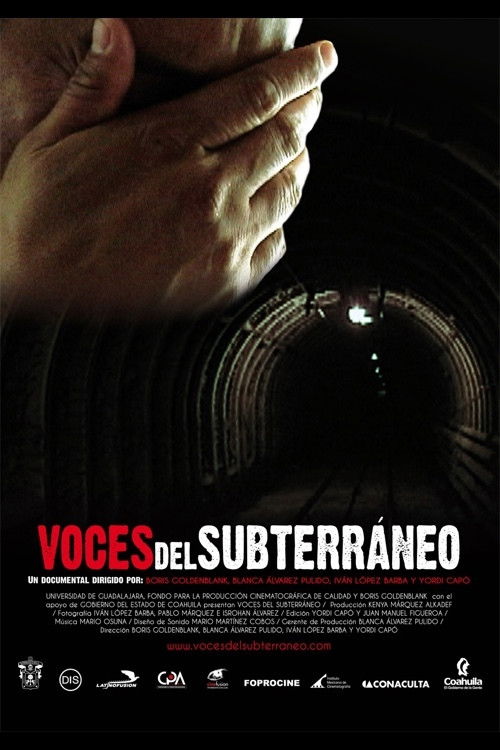 Underground Voices (2010) poster