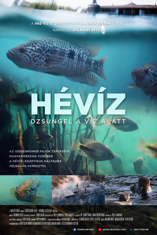 Hévíz − Dzsungel a víz alatt (2025) poster