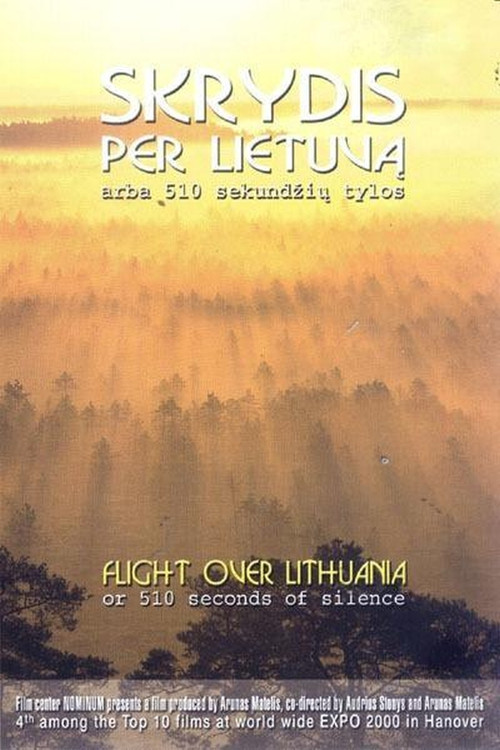 Flight Over Lithuania or 510 Seconds of Silence (2000) poster
