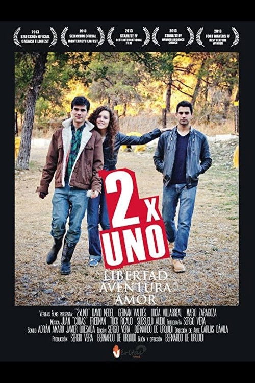 2 x One (2013) poster