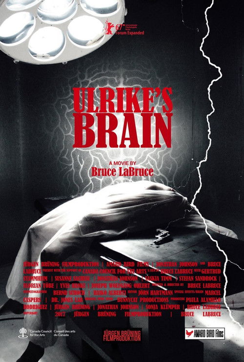 Ulrike's Brain (2017) poster