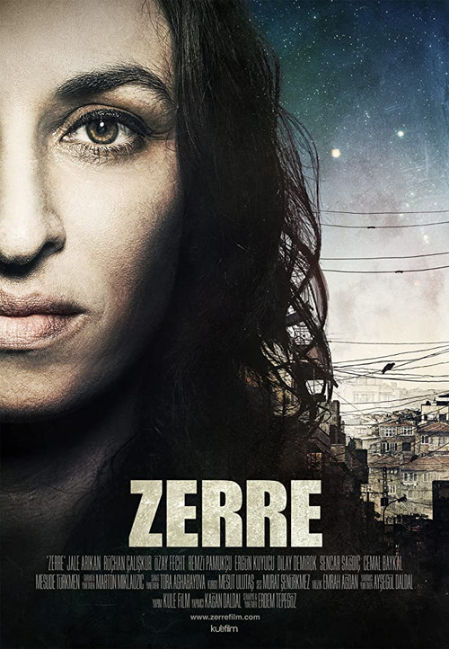 Zerre (2012) poster