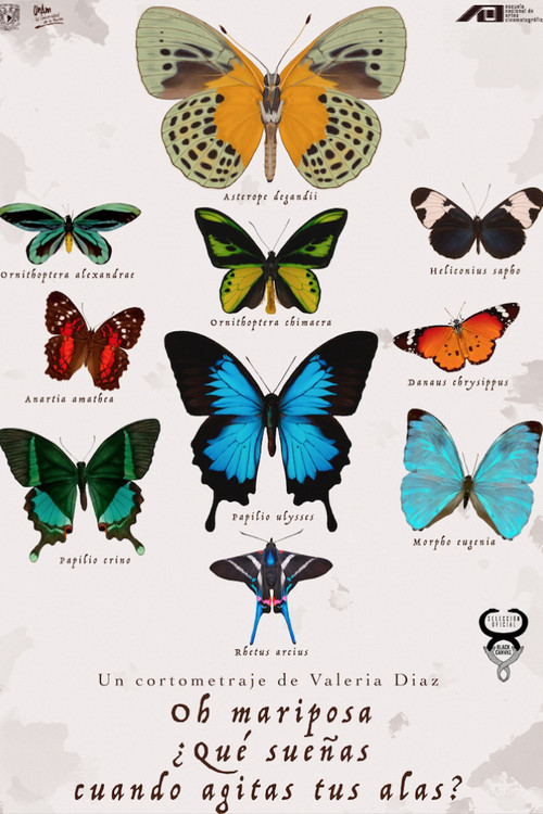 Oh Butterfly, What Do You Dream of When You Flap Your Wings? (2020) poster