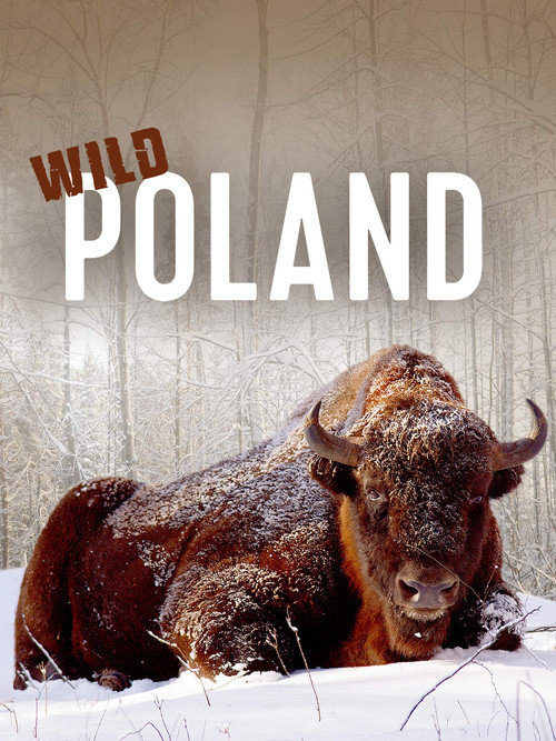 Wild Poland (2012) poster