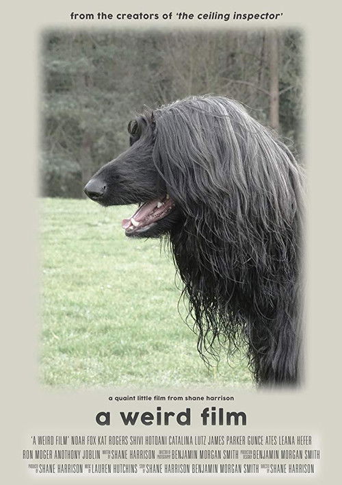 A Weird Film (2019) poster