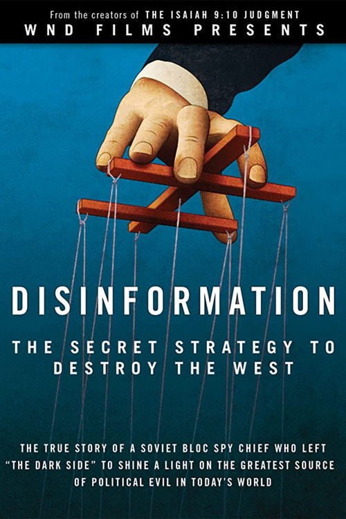 Disinformation (2013) poster