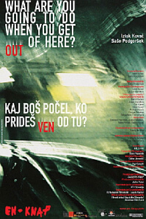 What Are You Going to Do When You Get Out of Here? (2005) poster