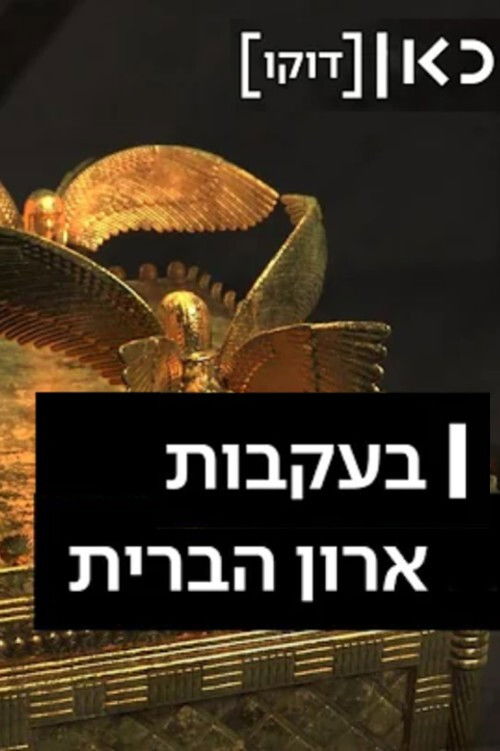 Following the Ark of the Covenant (2020) poster