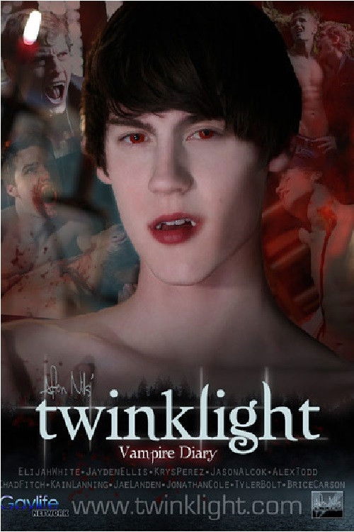 Twinklight: Vampire Diary (2011) poster