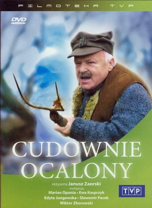 Cudownie ocalony (2004) poster