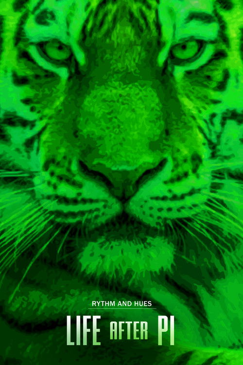 Life After Pi (2014) poster