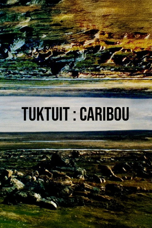 Tuktuit: Caribou (2025) poster