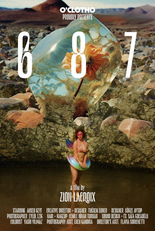 687 (2023) poster