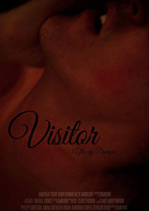 Visitor (2017) poster
