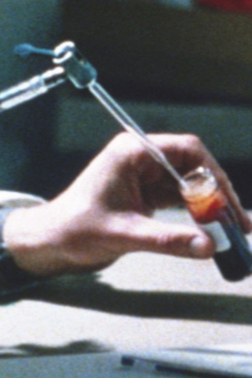 Research in the Rhondda (1969) poster