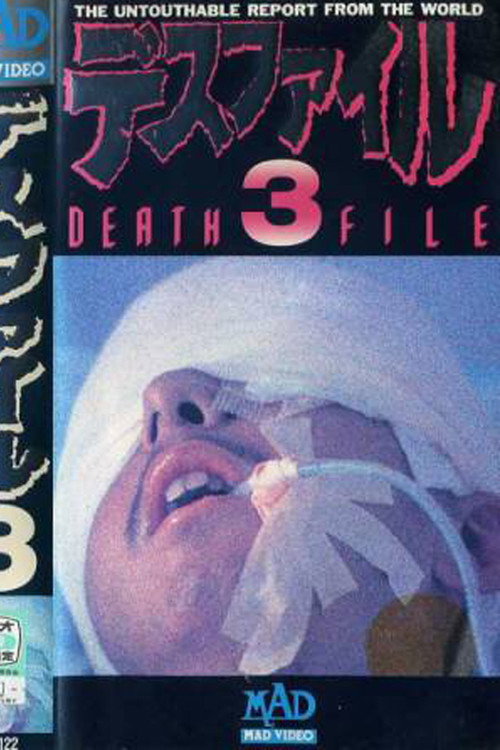 Death File 3 (1989) poster