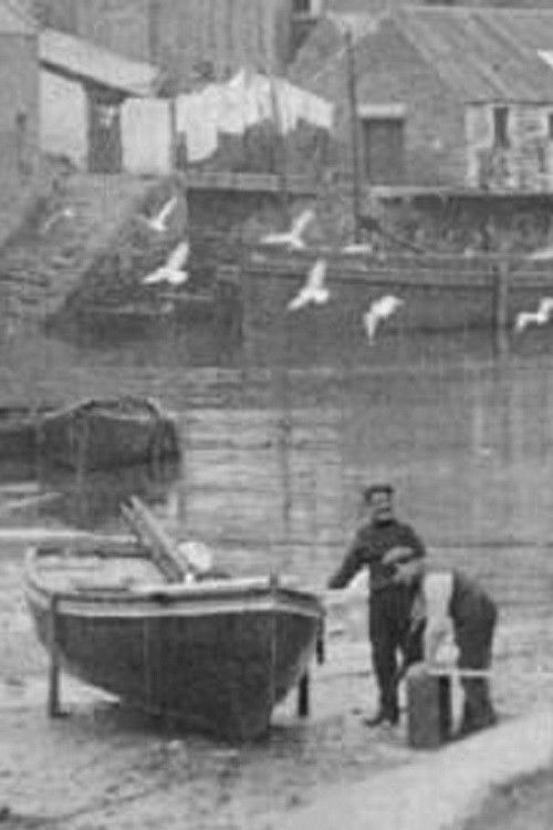 The Cornish Riviera (1916) poster