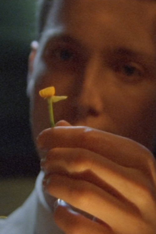 The Man Who Loved Flowers (2004) poster