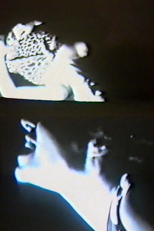 Fine Fine è il respiro (1986) poster