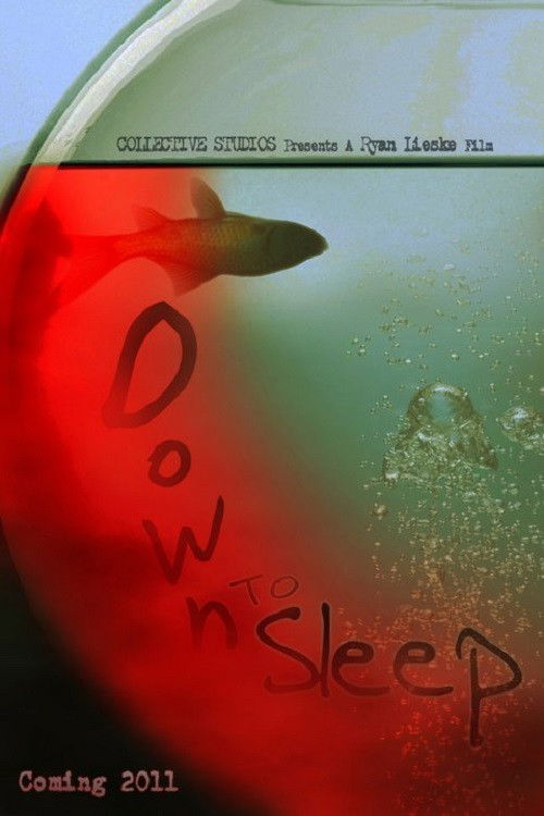Down to Sleep (2011) poster