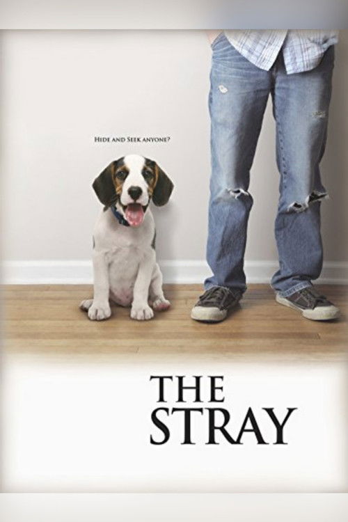 The Stray (2012) poster