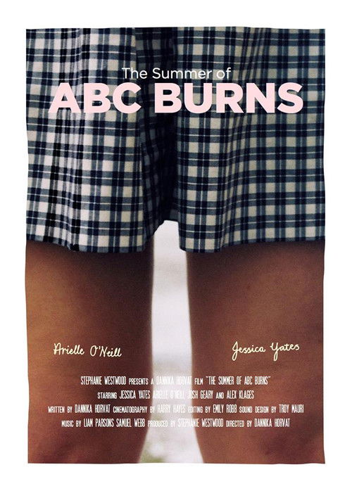 The Summer of ABC Burns (2015) poster