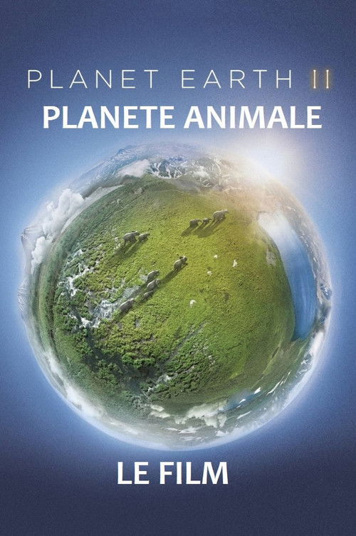 Planète animale 2 : Survivre (2017) poster