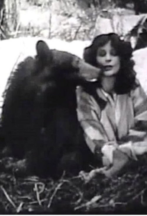 The Light on Lookout Mountain (1926) poster