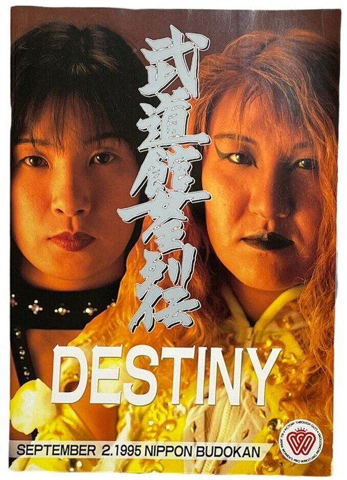 AJW Destiny (1995) poster