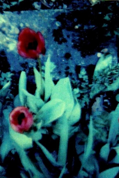 Kleist (1993) poster