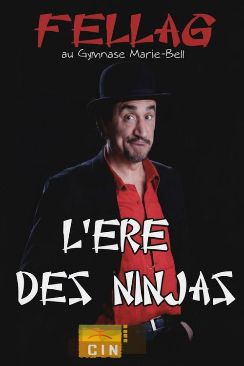 L'ère des Ninjas poster