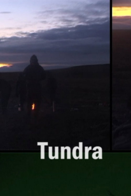 Tundra (2007) poster