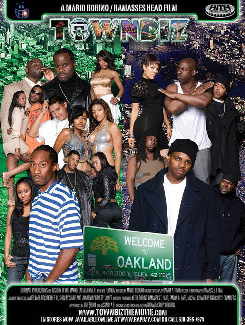 Townbiz (2009) poster