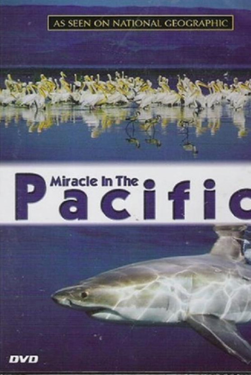 Miracle in the Pacific (2004) poster