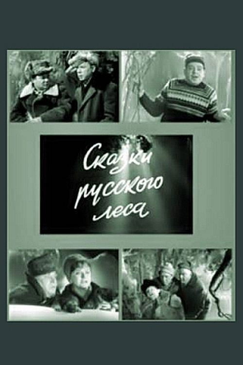 Сказки русского леса (1967) poster