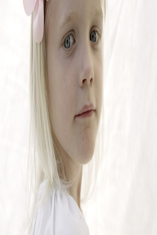 Et Liv (2014) poster