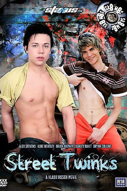 Street Twinks (2013) poster