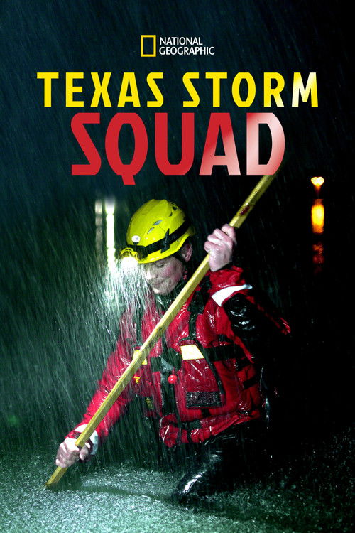 Texas Storm Squad (2020) poster