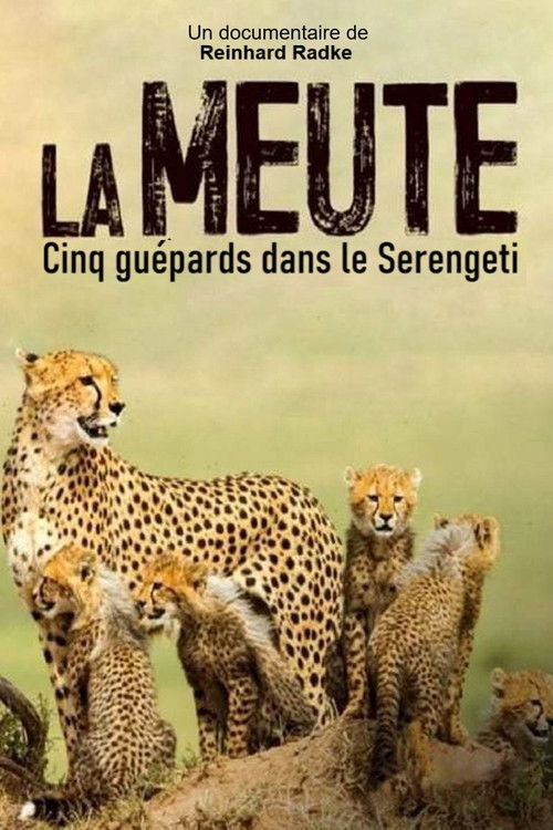 Die fünf Geparde - Gemeinsam durch die Serengeti (2019) poster
