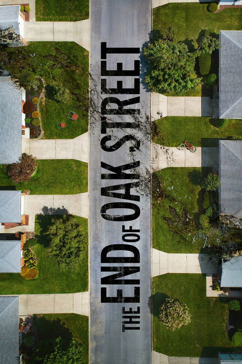 The End of Oak Street (2026) poster